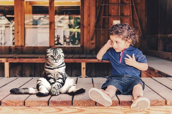 Tips for introducing a new pet to children